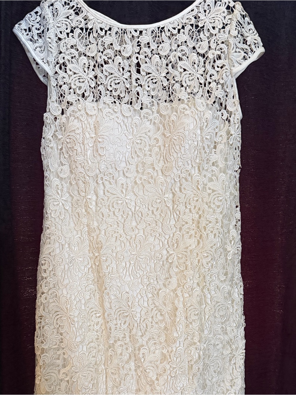 Beautiful & Extravanga Ivory Lace Overlay Sheath Dress